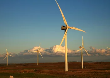 What If Carbon Capture Becomes the New Oil?