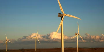 What If Carbon Capture Becomes the New Oil?