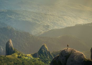 Is AI Capable of Achieving Spiritual Enlightenment?