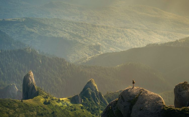 Is AI Capable of Achieving Spiritual Enlightenment?