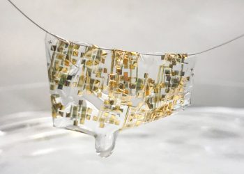 Biodegradable Circuits: The Key to Sustainable Tech?