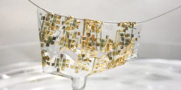 Biodegradable Circuits: The Key to Sustainable Tech?