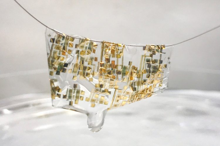 Biodegradable Circuits: The Key to Sustainable Tech?