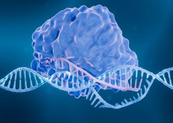 Are We Ready for the Ethical Dilemmas of Genetic Engineering?