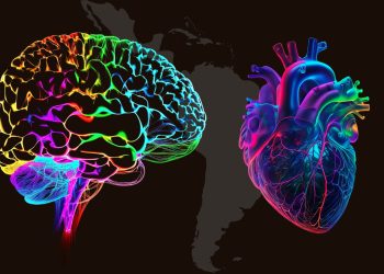 Is Wellness Just a Luxury Disguised as Self-Care?