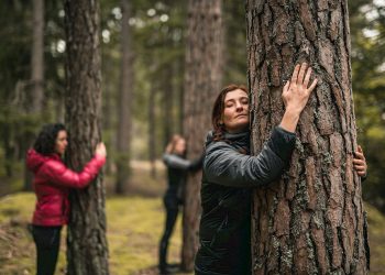 Is Nature the Best Therapist We Never Use?