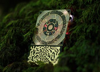 Biofeedback Wearables: Can They Help You Connect with Nature?