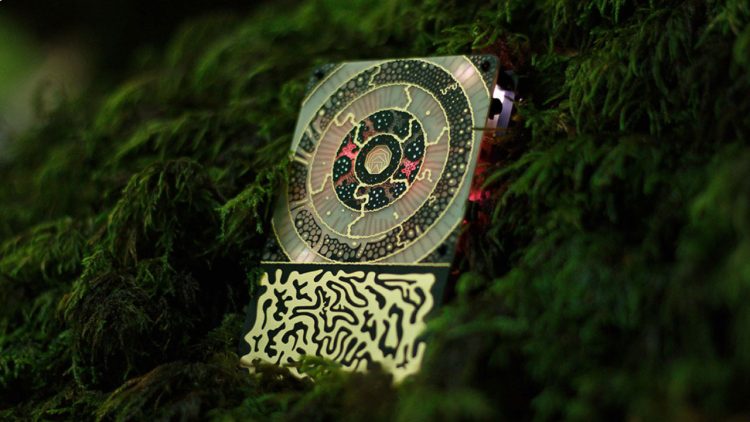 Biofeedback Wearables: Can They Help You Connect with Nature?