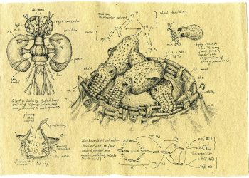 What If We Could Edit Human Memories—Should We?
