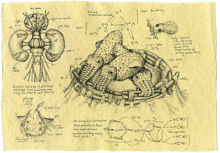What If We Could Edit Human Memories—Should We?