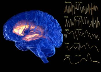 What If We Could Upload Human Consciousness?