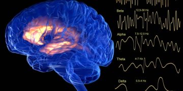 What If We Could Upload Human Consciousness?