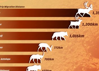 Can AI Identify Patterns in Nature That Humans Have Yet to Discover?