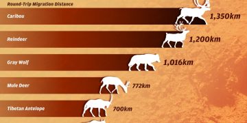 Can AI Identify Patterns in Nature That Humans Have Yet to Discover?