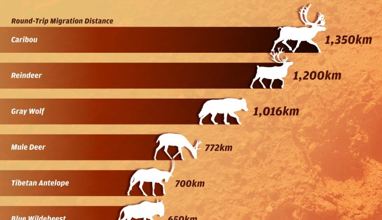 Can AI Identify Patterns in Nature That Humans Have Yet to Discover?