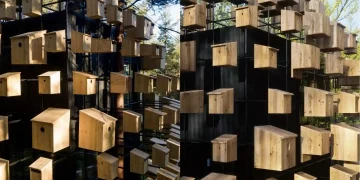 Smart Green Architecture: The Ultimate Anti-Aging Secret?