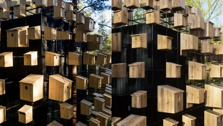 Smart Green Architecture: The Ultimate Anti-Aging Secret?