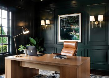 Can Nature-Inspired Design Enhance Workplace Productivity?