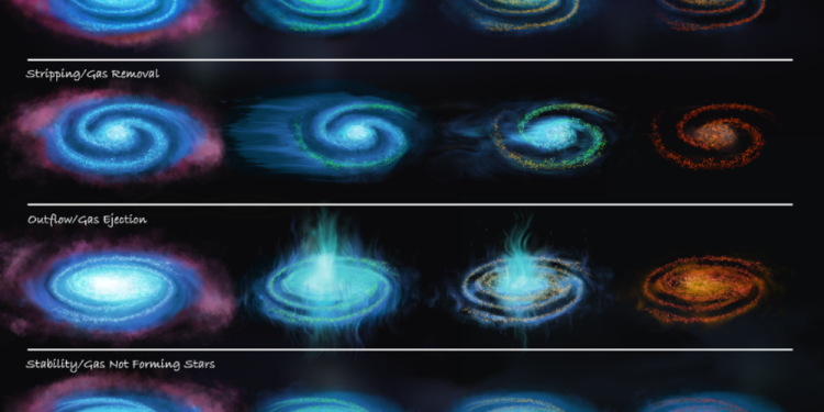 How Do Black Holes Influence the Fate of Galaxies?