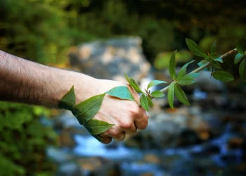 Is AI the Secret to Personalized Eco-Wellness Solutions?