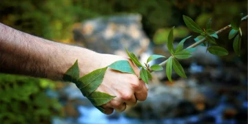 Is AI the Secret to Personalized Eco-Wellness Solutions?