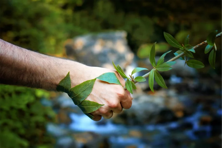 Is AI the Secret to Personalized Eco-Wellness Solutions?