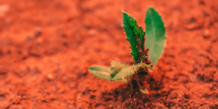 What Are the Ethical Implications of Colonizing Other Planets?