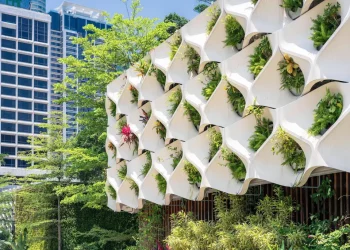 Can Green Tech Really Improve Your Mental Health?