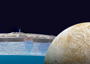 What If We Found Life in the Subsurface Oceans of Europa?