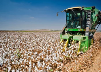 Is Organic Farming the Missing Link in Health Tech?