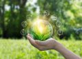 Green Technology and the New Definition of Wellness in the 21st Century