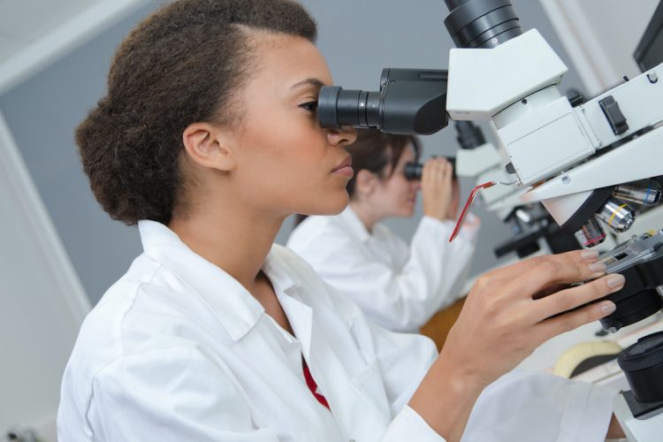 The Innovation Research Revolution: How Interdisciplinary Thinking Is Reshaping the Future