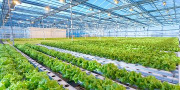 The Environmental Impact of Modern AI